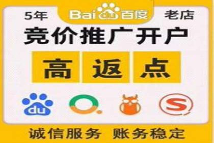 深度解析SEM推广代运营的成功案例及策略